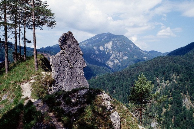 Những công viên tuyệt đẹp tại Áo, nơi hòa quyện với thiên nhiên- Ảnh 2.