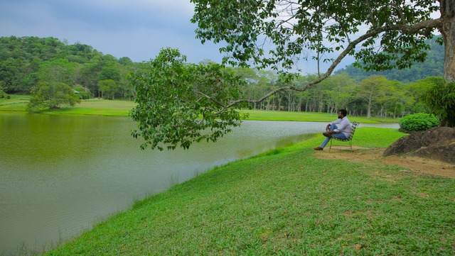 Hành trình đầy bất ngờ tại quốc đảo Sri Lanka- Ảnh 11.