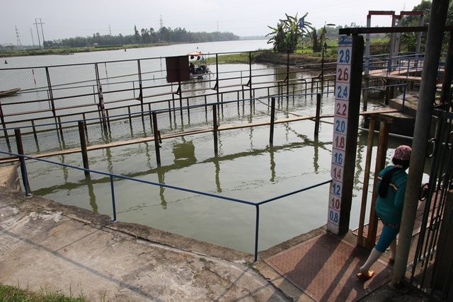 Khi độ mặn vượt ngưỡng 1.000 mg/lít, cửa thu nước thô trên sông Cầu Đỏ gần như không hoạt động được nên buộc phải vận hành trạm bơm phòng mặn An Trạch