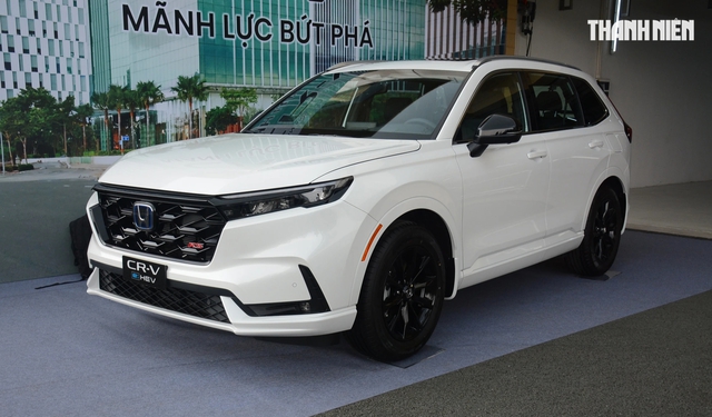 Người Việt tăng mua sắm xe hybrid, Toyota bán chạy nhất