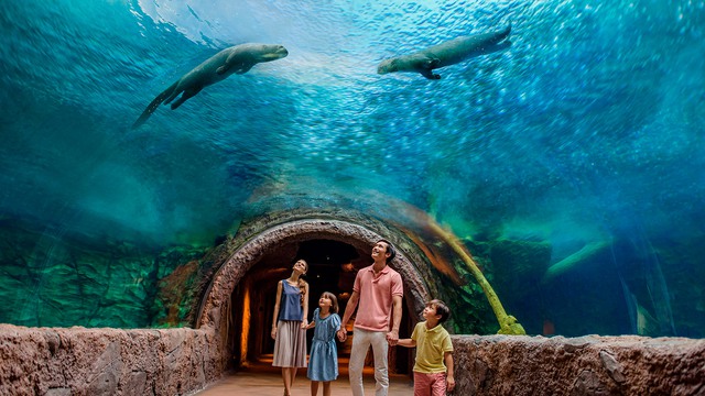 Những vườn thú được nhiều du khách đến trải nghiệm tại Singapore- Ảnh 3.