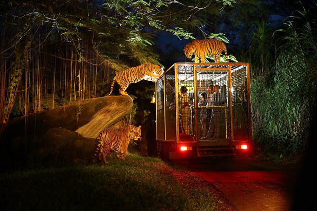 Những vườn thú được nhiều du khách đến trải nghiệm tại Singapore- Ảnh 2.