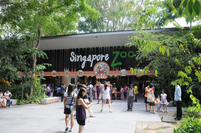 Những vườn thú được nhiều du khách đến trải nghiệm tại Singapore- Ảnh 1.