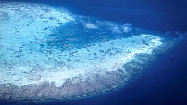 Một đảo san hô trên Rạn san hô Great Barrier (Úc)