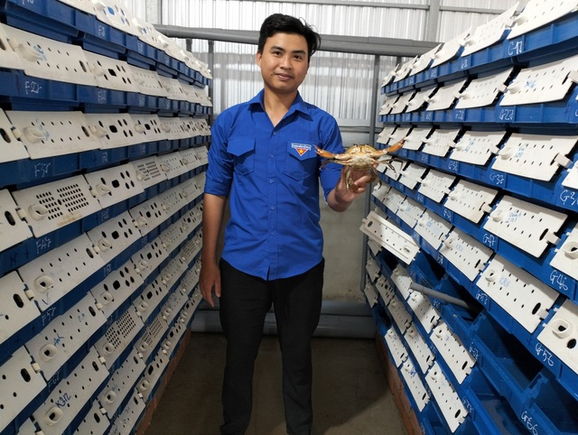 Trần Minh Nhật thu lãi hơn 30 triệu đồng/tháng từ mô hình nuôi cua biển trong hộp nhựa
