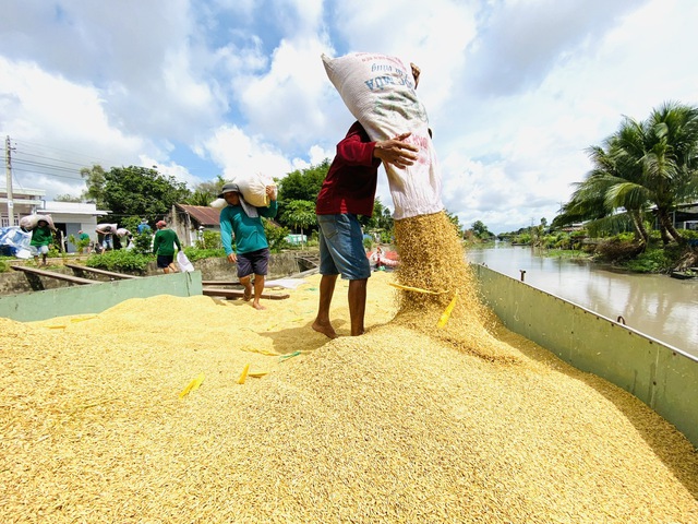 Gạo Việt lo mất thị phần vì Philippines sửa luật- Ảnh 1.