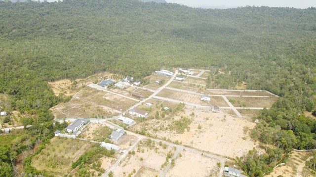 Kiên Giang: Cảnh báo lừa đảo cấp đất ở Vườn quốc gia Phú Quốc- Ảnh 1.