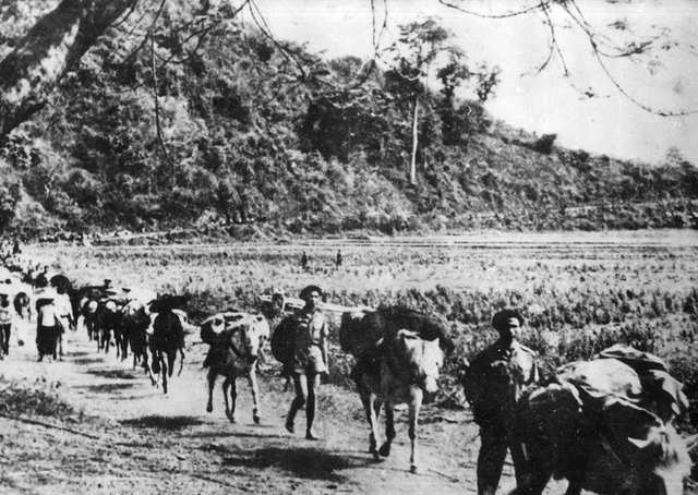 Đoàn ngựa thồ của đồng bào các dân tộc Tây Bắc vận chuyển lương thực, thực phẩm phục vụ chiến dịch Điện Biên Phủ năm 1954