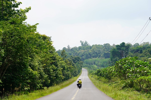 Một góc mảng xanh trong rừng Mã Đà,  cơ hội để Đồng Nai có thể bán tín chỉ carbon