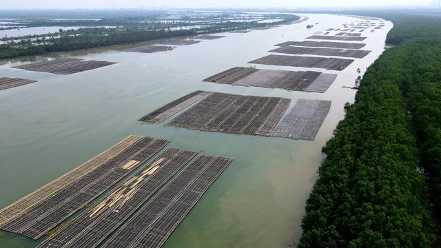 Hàng trăm lồng bè nuôi trồng thủy sản trái phép, phủ gần kín mặt sông Bạch Đằng (H.Thủy Nguyên, Hải Phòng) chưa được cơ quan chức năng nào nhận trách nhiệm, xử lý