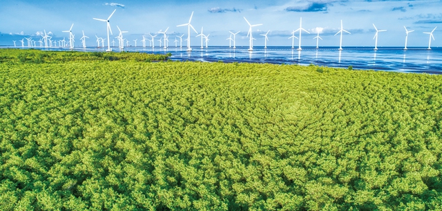 Cánh đồng điện gió ven biển Bạc Liêu hấp dẫn du khách