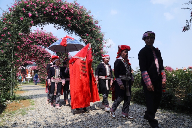 Sa Pa tổ chức Lễ hội Hoa hồng Fansipan quy mô kéo dài hơn 2 tháng- Ảnh 5.