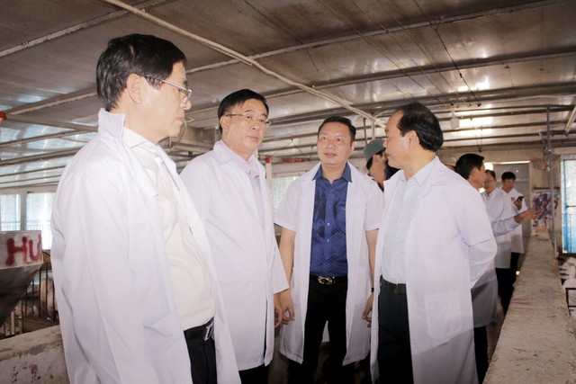 Lãnh đạo Tỉnh ủy, HĐND tỉnh Bà Rịa - Vũng Tàu thăm trang trại chăn nuôi công nghệ cao đầu tiên tại địa phương