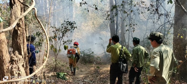 Giám sát tài nguyên rừng hiệu quả ở Bình Thuận- Ảnh 3.