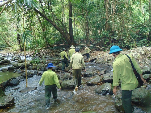 Giám sát tài nguyên rừng hiệu quả ở Bình Thuận- Ảnh 4.
