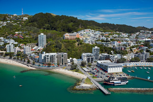 Lý do nên chọn các bãi biển của Wellington, New Zealand cho mùa hè thư giãn- Ảnh 1.