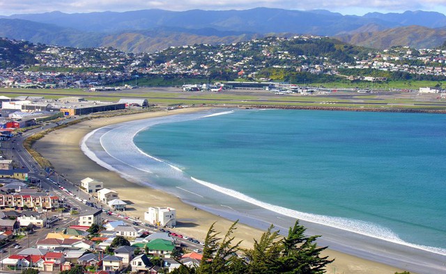 Lý do nên chọn các bãi biển của Wellington, New Zealand cho mùa hè thư giãn- Ảnh 3.