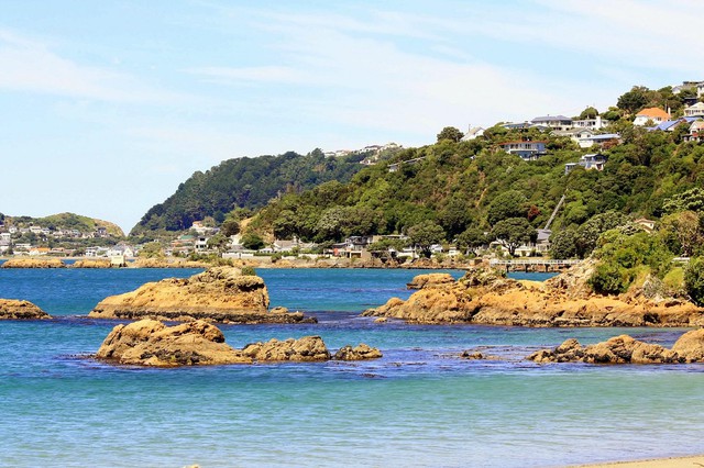 Lý do nên chọn các bãi biển của Wellington, New Zealand cho mùa hè thư giãn- Ảnh 2.