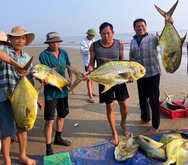 Thuyền của ngư dân Lê Xuân Tiến trúng đậm mẻ cá chim vây vàng trị giá hơn 350 triệu đồng