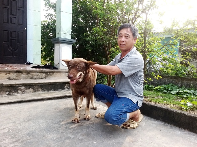 Xã Quỳnh Đôi 'phạt nguội' chó thả rông qua camera- Ảnh 3.