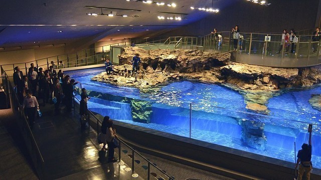 Vườn thú và thủy cung được du khách yêu thích tại Tokyo, Nhật Bản- Ảnh 4.