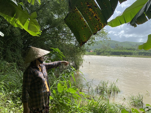 Bờ sông Trà Bồng bị sạt lở khiến người dân xã Bình Minh (H.Bình Sơn, Quảng Ngãi) lo lắng mỗi khi mùa lũ về