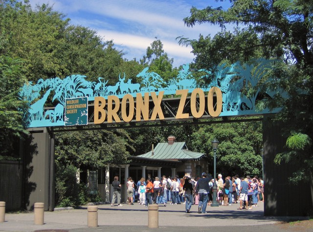 Gợi ý trải nghiệm các vườn thú hàng đầu trên thế giới- Ảnh 5.