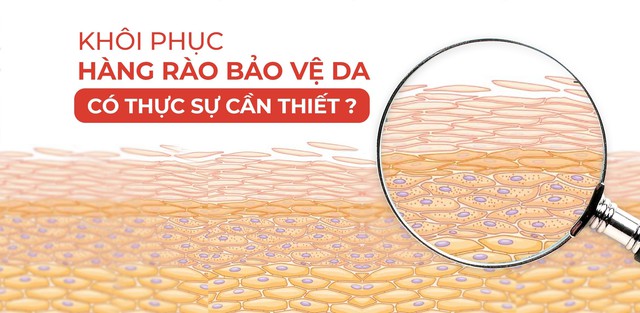 Hàng rào bảo vệ da là gì? Làm thế nào bảo vệ trước ô nhiễm môi trường?- Ảnh 1.