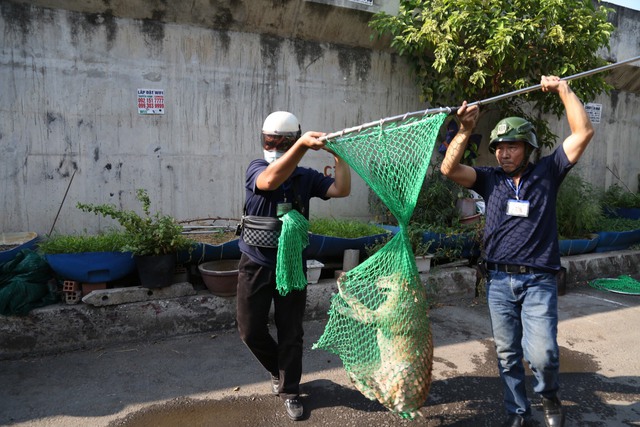 TP.Thủ Đức: Hớt hải lùa chó, phản ứng dữ dội khi chó thả rông bị bắt đi- Ảnh 4.