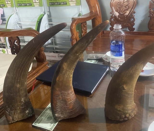 Bình Dương: Bắt giữ nhóm lừa đảo mua bán sừng tê giác, thiên thạch- Ảnh 3.