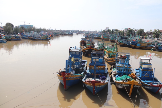 Bình Thuận phản hồi thông tin mới nhất vụ '3 tấn vàng' dưới sông Cà Ty- Ảnh 1.