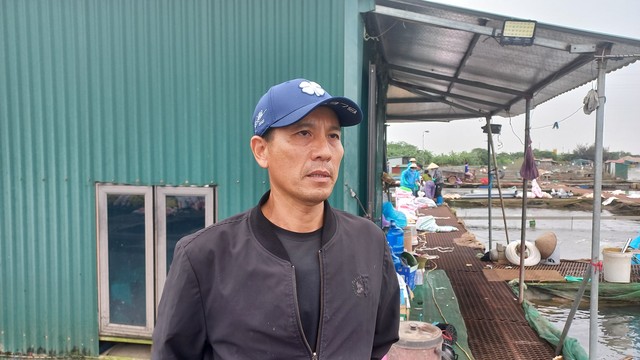 Ông Đỗ Văn Nhạ cho biết, ông đã nuôi cá lồng từ 7 năm nay, nhưng đây là năm đầu tiên gặp tình trạng cá chết nhiều như thế này. Ông Nhạ nuôi 56 lồng cá, mỗi lồng từ 18 - 20 tấn cá đang đến thời kỳ thu hoạch. Thiệt hại theo ước tính của ông Nhạ là hơn 300 tấn cá chết và buộc phải bán tháo, chủ yếu là cá chép giòn