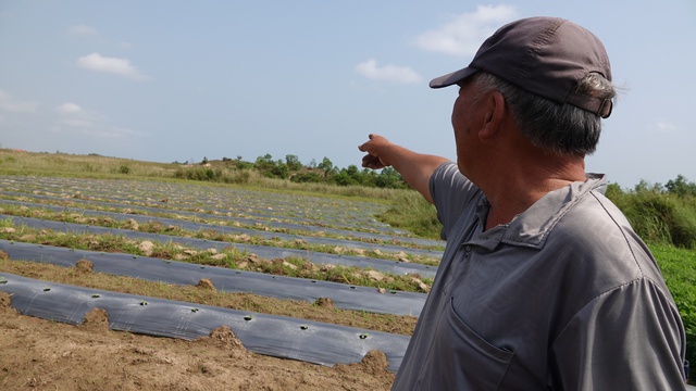 Thu hồi hàng chục dự án đầu tư chậm tiến độ ở Quảng Ngãi- Ảnh 3.