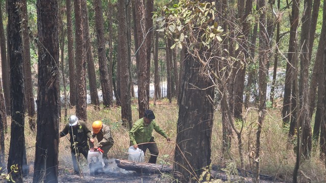 Lực lượng kiểm lâm Lâm Đồng phòng chống cháy rừng