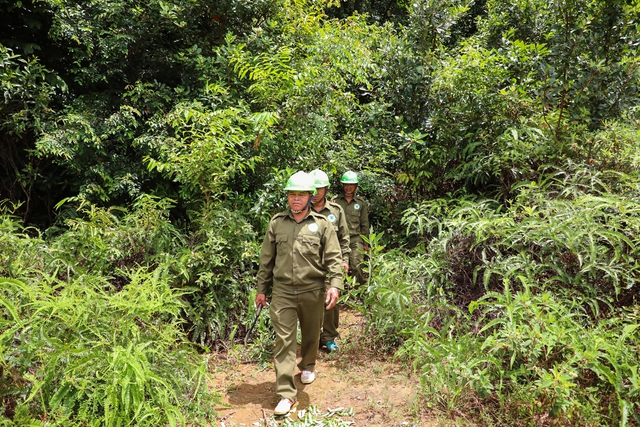 Tuần tra bảo vệ rừng ở Lộc Bắc, H.Bảo Lâm