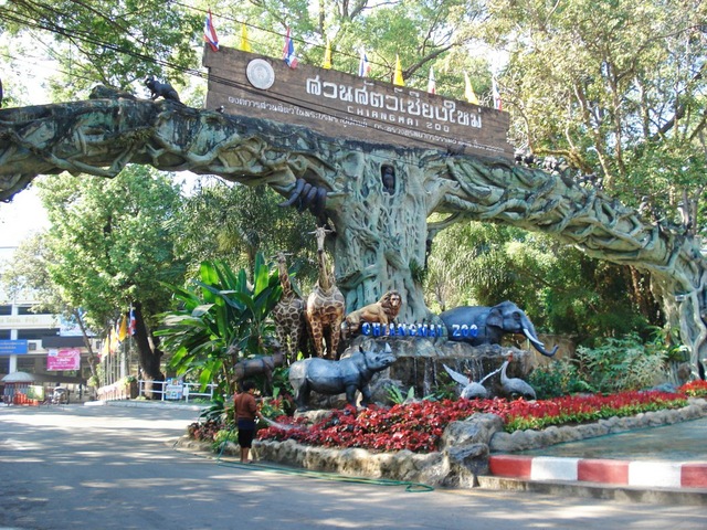 Những vườn thú đáng trải nghiệm tại Thái Lan- Ảnh 3.