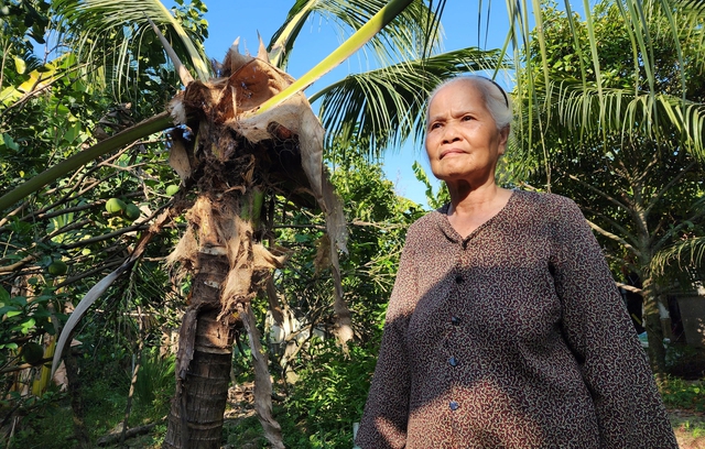Bà Phan Thu Cúc bên cây dừa vừa bị đuông ăn trong khu vườn rộng 1,2 ha của gia đình