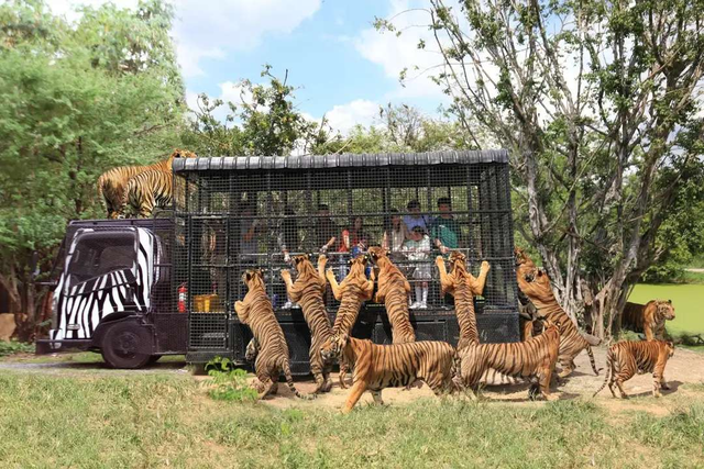 Những vườn thú đáng trải nghiệm tại Thái Lan- Ảnh 2.