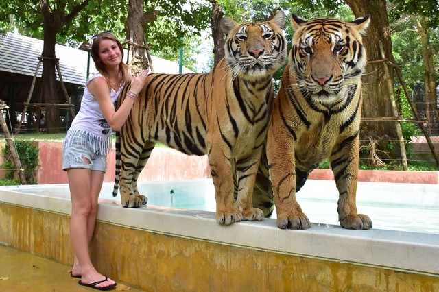 Những vườn thú đáng trải nghiệm tại Thái Lan- Ảnh 4.