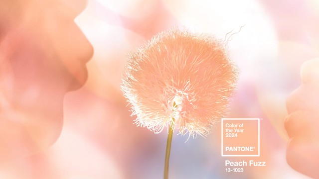 Peach Fuzz (cam đào) được Pantone công bố là màu sắc chủ đạo trong mọi lĩnh vực của năm 2024. Đây là màu sắc mang sự tổng hòa của màu cam dịu và hồng nhạt, pha trộn thêm tông cam rực rỡ nên mang đến cảm giác tràn đầy năng lượng và sự nhiệt huyết. Màu cam đào cũng gợi nhắc đến màu sắc tươi tắn của hương trái cây như đào và cam, gợi lên sự bình yên, nhẹ nhàng và thư giãn