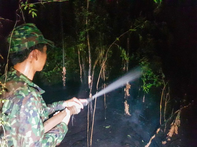 Kiên Giang: Vụ cháy rừng ở H.Giang Thành gây thiệt hại khoảng 371 ha- Ảnh 1.