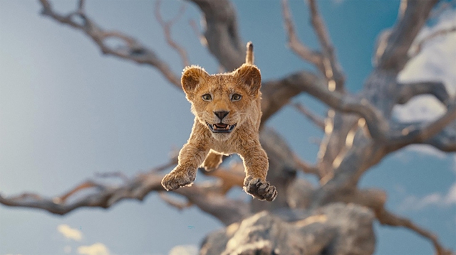 Cảnh trong phim Mufasa: The Lion King