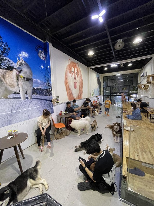Điểm danh những quán cà phê thú cưng siêu dễ thương ở TP. Hồ Chí Minh