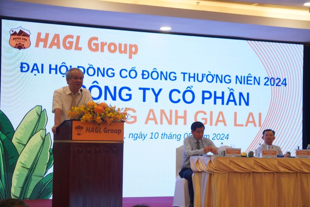 Mục tiêu của Hoàng Anh Gia Lai là xóa lỗ lũy kế trong năm nay- Ảnh 1.