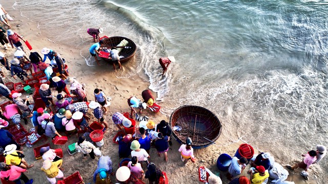 Chợ cá Tam Tiến họp lúc rạng sáng buôn bán hải sản