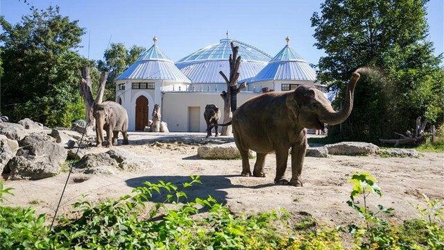 Tham quan các vườn thú được du khách yêu thích tại Đức- Ảnh 4.