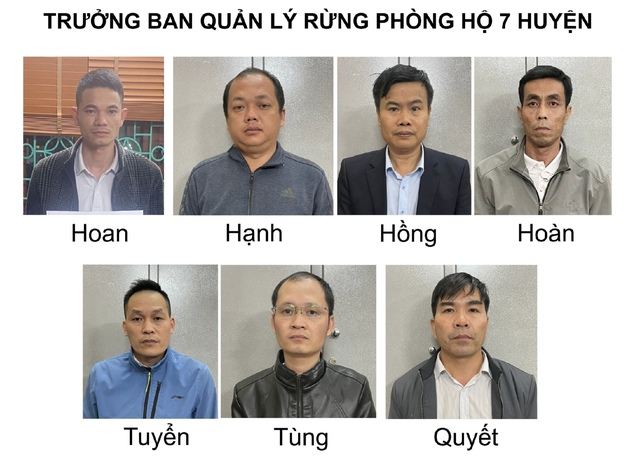 Các bị cáo là cựu Trưởng ban qunar lý rừng phòng hộ