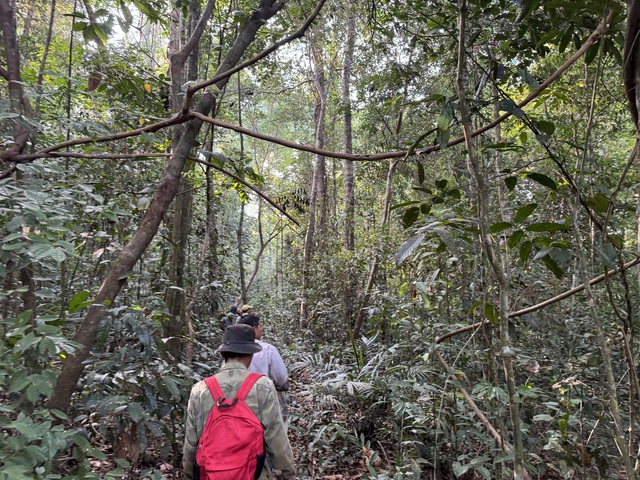 PV Thanh Niên (đeo ba lô) theo chân những người vào rừng tìm ươi