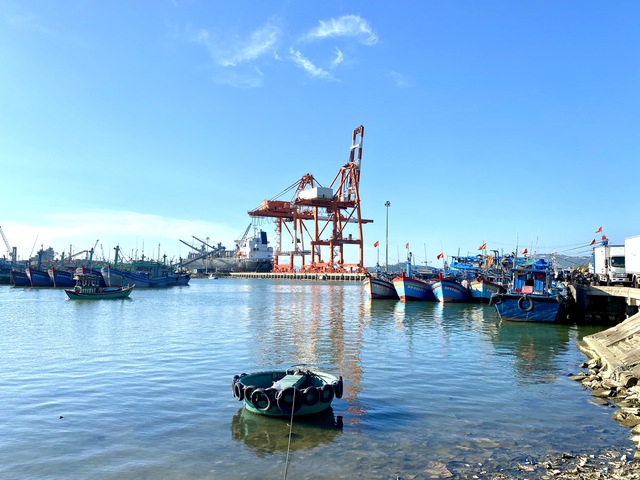 Tàu cá đang neo đậu tại cảng cá Bình Định