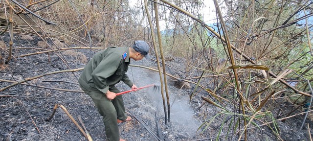 Dự báo cháy rừng ở TP.Đà Nẵng đang ở cấp 5, cấp cao nhất (rất nguy hiểm) do nắng nóng kéo dài